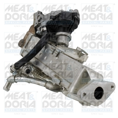 EGR Module
